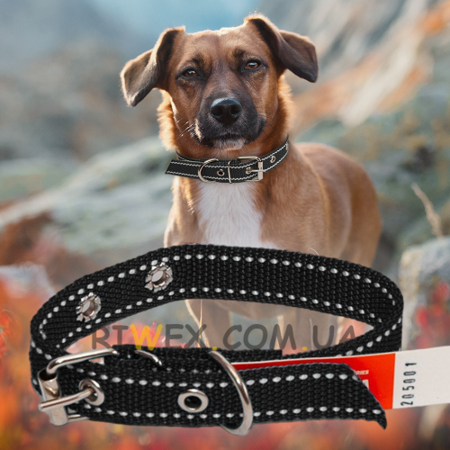Ошейник капроновый для собак №129 одинарный 35 мм - длина 58 см, Черный (2021)