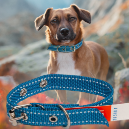 Ошейник капроновый для собак №129 одинарный 35 мм - длина 58 см, Синий (2021)