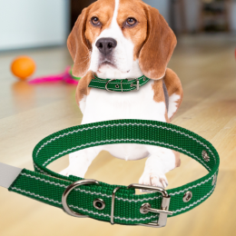 Ошейник капроновый для собак №128 одинарный 30 мм - длина 52 см, Зеленый (2021)