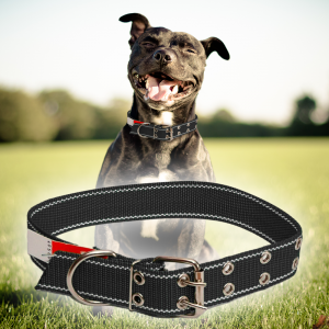 Нашийник капроновий для собак №130 одинарний 40 мм - довжина 64 см, Чорний (2021) Нашийник капроновий для собак №130 одинарний 40 мм - довжина 64 см, Чорний (2021)