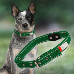 Ошейник капроновый для собак №132 двойной 20 мм - длина 46 см, Зеленый (2021)