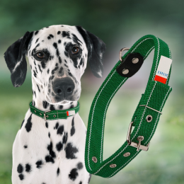 Ошейник капроновый для собак №133 двойной 25 мм - длина 47 см, Зеленый (2021)