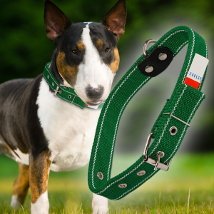 Ошейник капроновый для собак №134 двойной 30 мм - длина 57 см, Зеленый (2021)