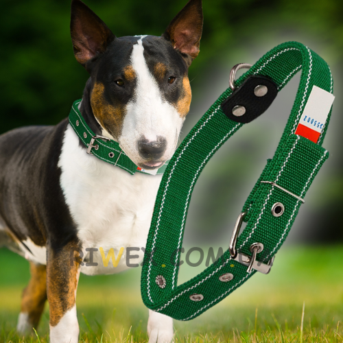 Нашийник капроновий для собак №134 повійний 30 мм - довжина 57 см, Зелений (2021)