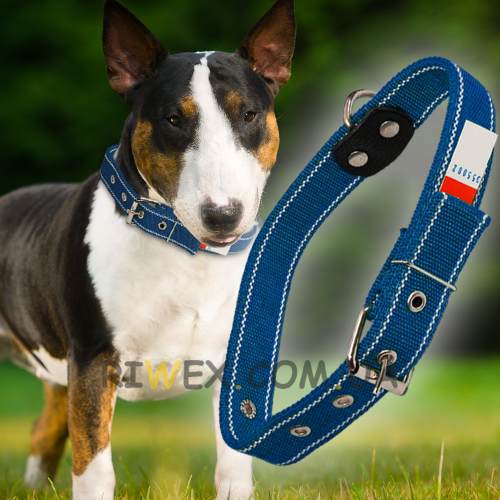 Ошейник капроновый для собак №134 двойной 30 мм - длина 57 см, Синий (2021)