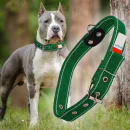 Ошейник капроновый для собак №135 двойной 35 мм - длина 64 см, Зеленый (2021)