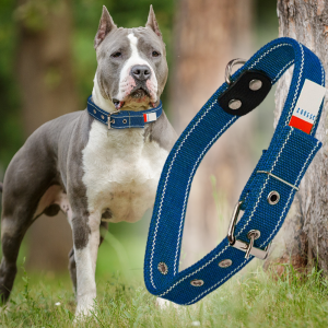 Ошейник капроновый для собак №135 двойной 35 мм - длина 64 см, Синий (2021)