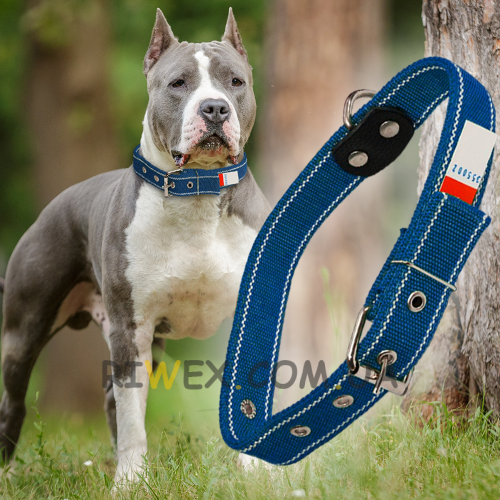 Ошейник капроновый для собак №135 двойной 35 мм - длина 64 см, Синий (2021)