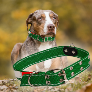 Ошейник капроновый для собак №137 двойной 45 мм - длина 81 см, Зеленый (2021)