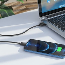 USB кабель для зарядки і передачі даних HOCO X73 Ligtning 1м Чорний (206)