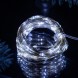 Комнатная LED USB гирлянда Xmas «Роса» с пультом управления Белое освещение 3 м (HA-61)