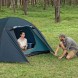 Четырехместная палатка Pavillo Bestway 68141, 280х240x140 см (LM)