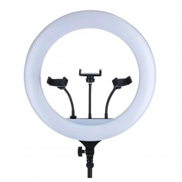 Професійна кільцева LED лампа YQ-460A з 3 тримачами для телефону, 46 см
