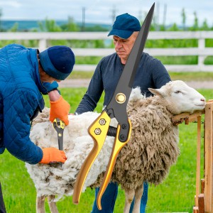 Універсальні загартовані ергономічні ножиці стрижки овець 1846 FEL LONG - Wool-Shears (JS)