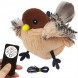 Интерактивная игрушка птичка для кошек на пульте управления LY-867 (205)