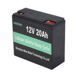  Літій-залізо-фосфатний акумулятор AUMOON  LiFePO4 12,8V-20Ah (256Вт)  BMS (OX)
