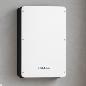 Аккумулятор для ИБП DYNESS PowerBox Pro LiFePO4 51,2V-200Ah 10,24КВт (OX)