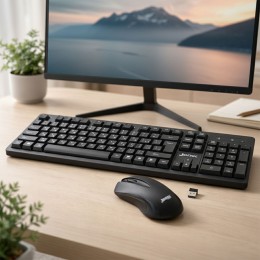 Беспроводные клавиатура и мышка 2в1 для компьютера и ноутбука, мембранная клавиатура, USB приемник (206)