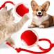 Смарт м’яч для тварин з акумулятором і мотузкою дражнилкою інтерактивна іграшка, Червоний (626/VEN-1433-С45/2)