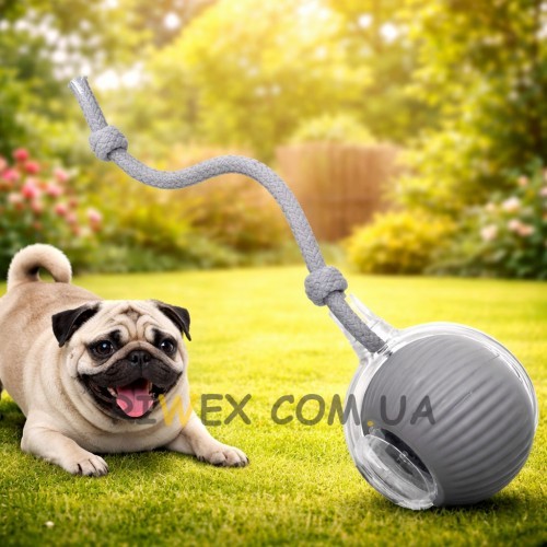 Смарт м’яч для тварин з акумулятором і мотузкою дражнилкою інтерактивна іграшка, Сірий (626/VEN-1433-С45/2)