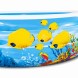Басейн дитячий надувний Bestway 54118 Дари Океану 262x157x46 см 544 л для дачі та відпочинку (AT)