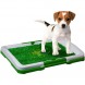 Домашний туалет для собак лоток для щенка с ковриком травкой Puppy Potty Pad зеленого цвета