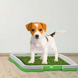 Домашній туалет для собак лоток для цуценяти з килимком травичкою Puppy Potty Pad зеленого кольору