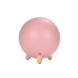 Круглый ночник "Котик в домике" милый светильник с зарядкой от USB белый, розовый, бирюзовый цвет (624)